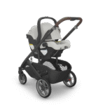 UPPAbaby Cruz V3 Stroller