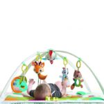 Tiny Love Into the Forest Gymini Deluxe
