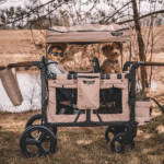 Keenz Vyo͞o The Seating Chameleon Stroller Wagon 2-Passengers
